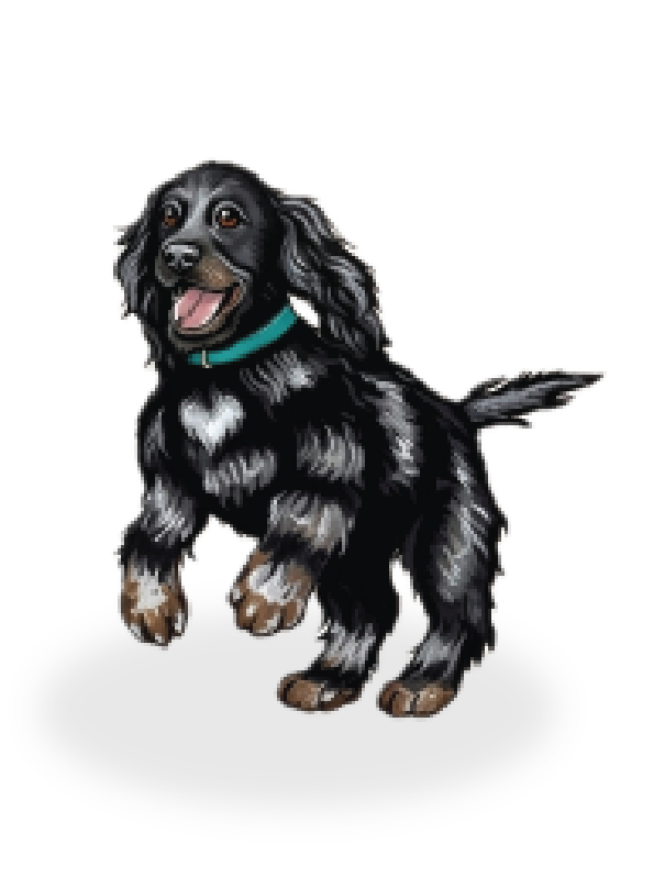Jet, a playful black puppy character from the book Zeb, Jet and the Ice-Cream Calamity